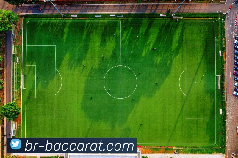 百家乐官网平台生态图