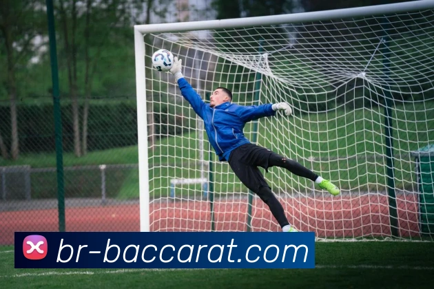 百家乐官网全站App