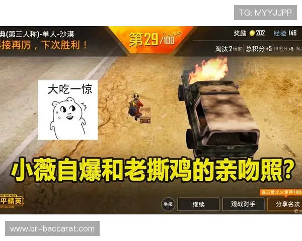 和平精英中常见的违规行为及其对游戏公平性的影响分析